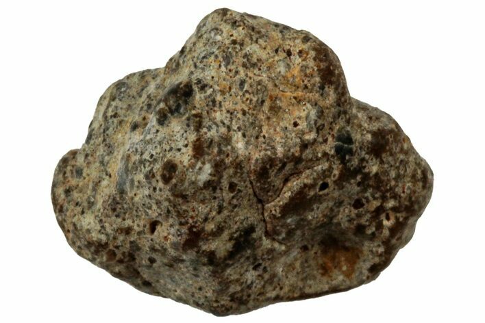 Lunar Meteorite ( g) - NWA #303986